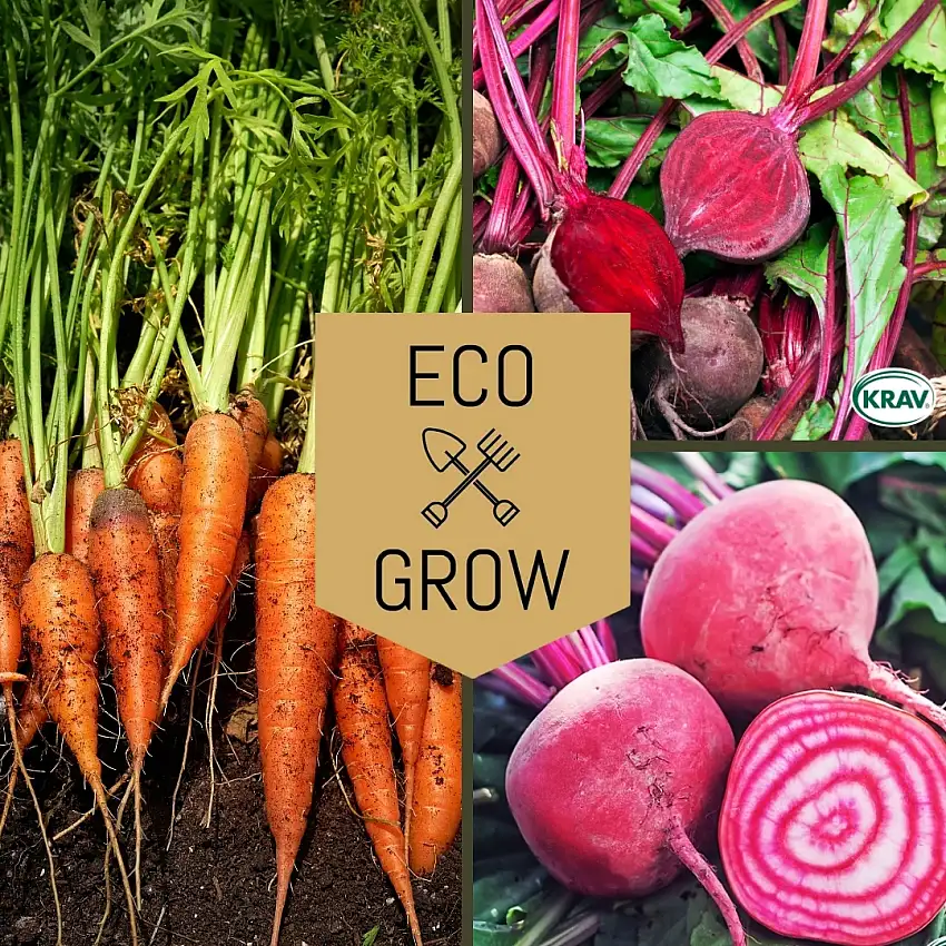 Grönsaksfröer Eco GrowRotfruktskit Favoriter för Odling 3-pack