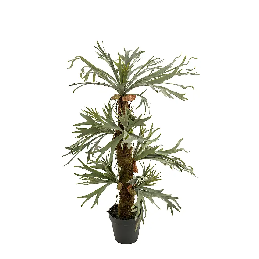 Konstväxt Mr PlantÄlghornsbräkenH: 140 cm