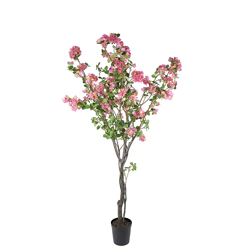Konstväxt Mr PlantBougainvillea