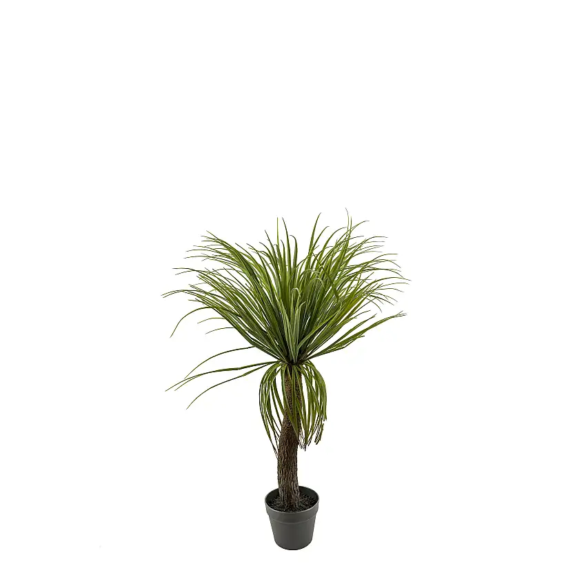 Konstväxt Mr PlantFlaskliljaH: 90 cm