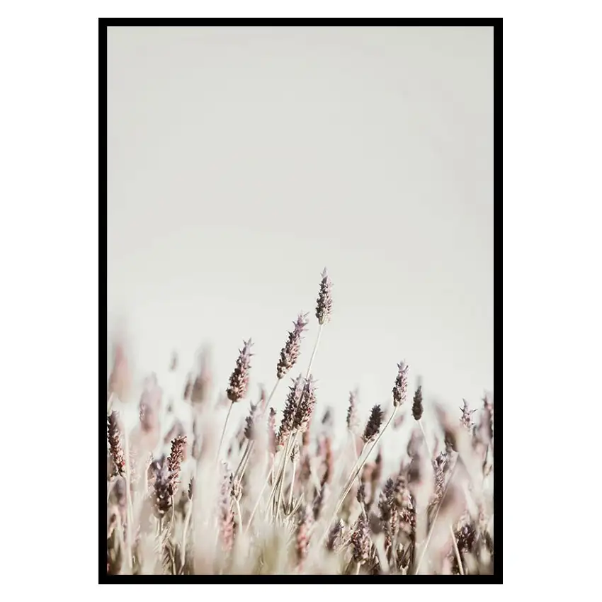 Poster GallerixDried Plants No2Storlek: 21x30 cm
