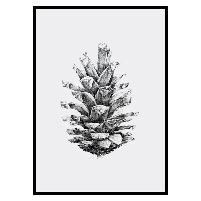 Poster GallerixSketched Spruce Cone
