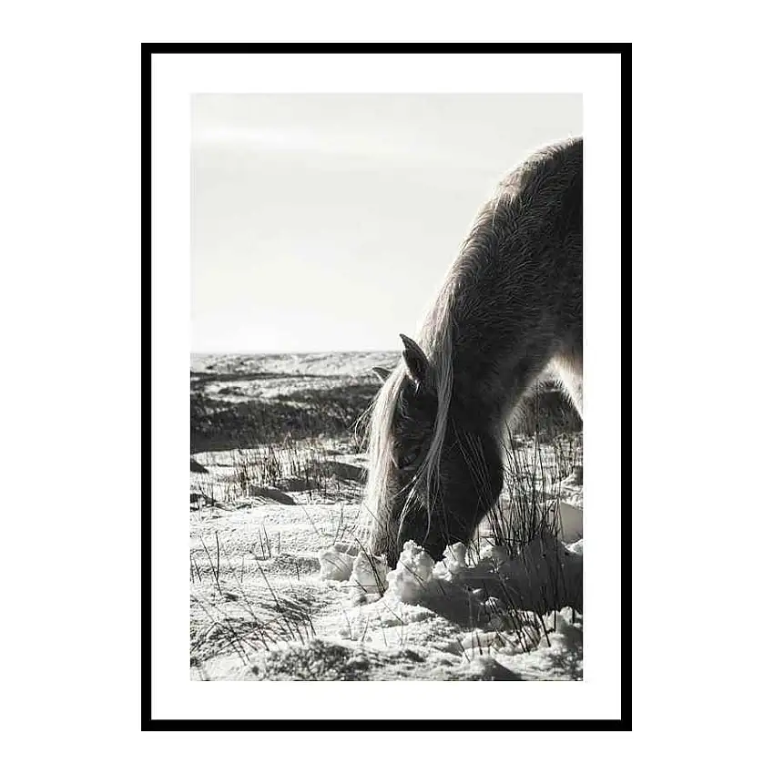 Poster GallerixWinter HorseStorlek: 30x40 cm