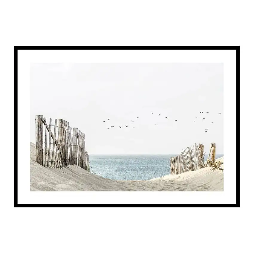 Poster GallerixBirds At Cape CodStorlek: 21x30 cm