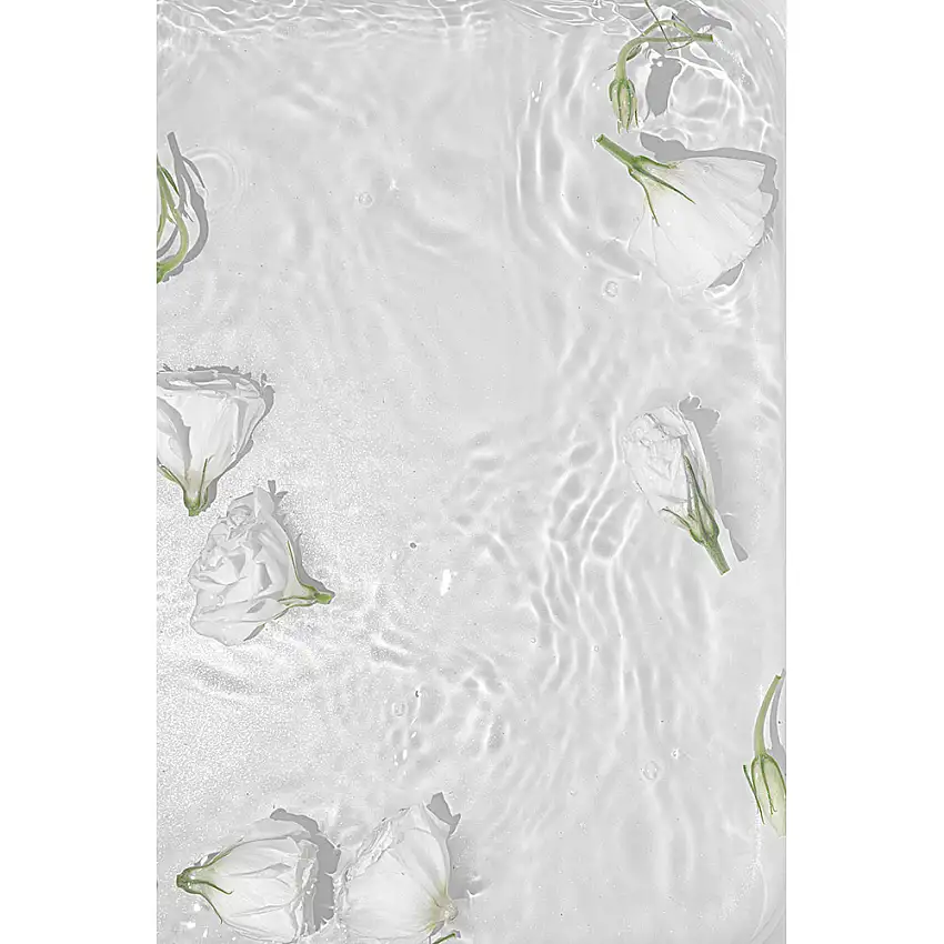 Posters Venture HomeWhite Roses Vit