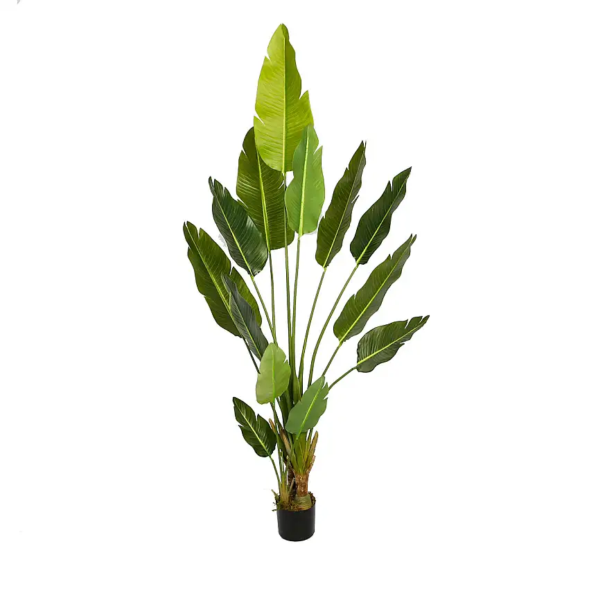 Konstväxt LykkeBird of Paradise