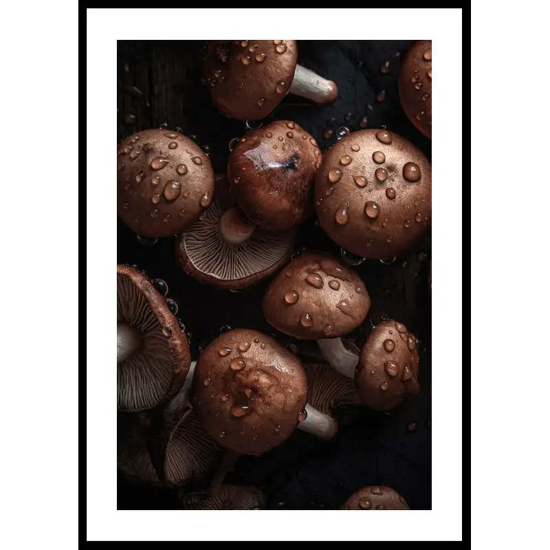 Poster GallerixMushrooms No230x40 cm
