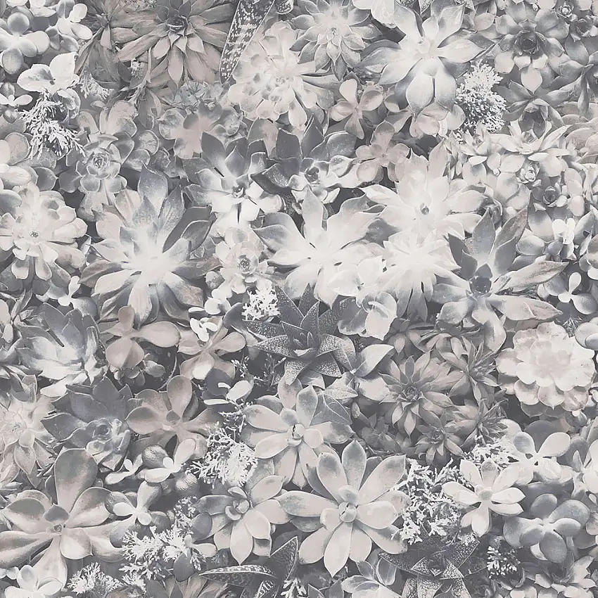 Tapet Galerie WallcoveringsEvergreen 7321