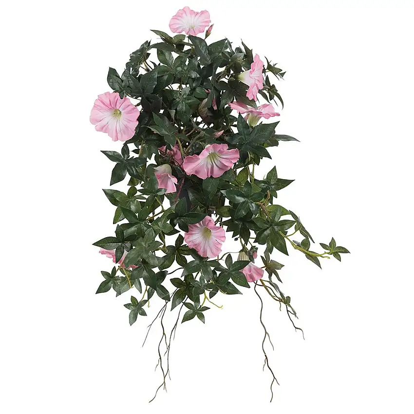 Konstväxt Fröken FräkenBlomma för Dagen 45 cmLjusrosa
