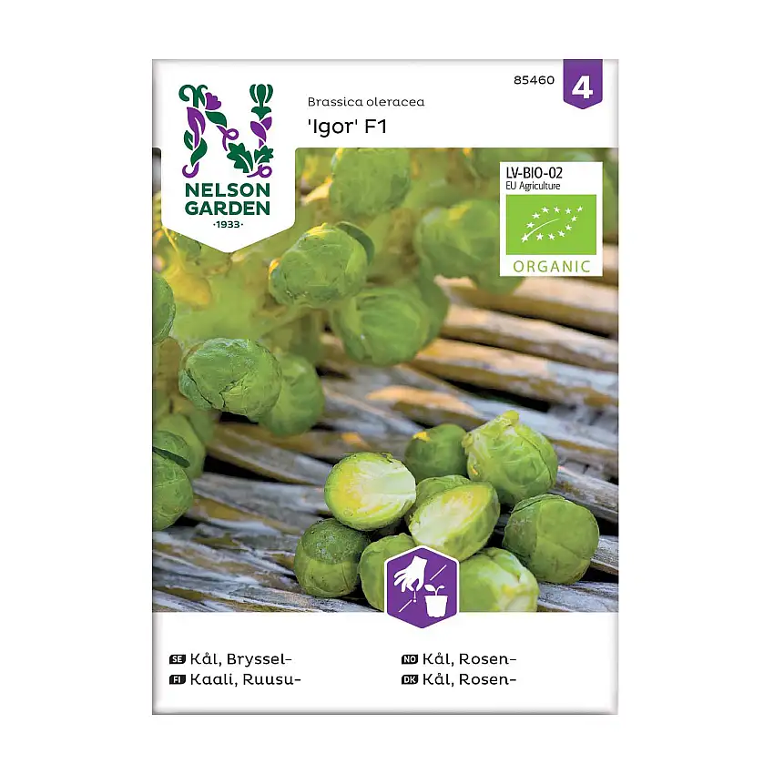 Frö Brysselkål Nelson GardenIgor F1 Organic