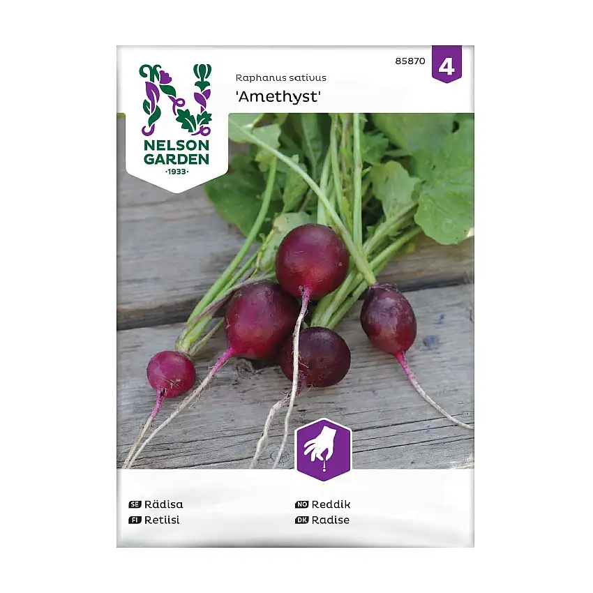 Frö Rädisa Nelson GardenAmethyst