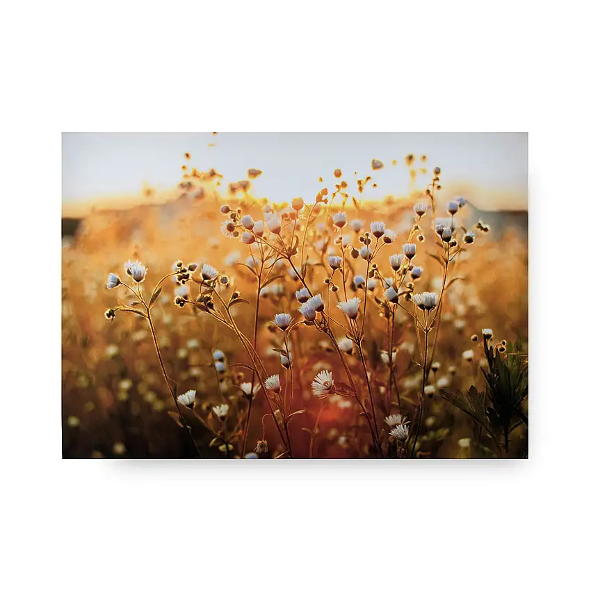 Tavla Art for the HomeFieldflower 70x100