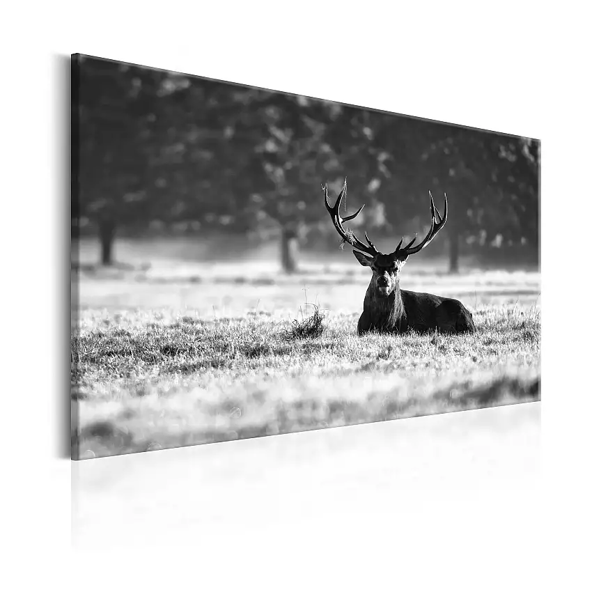 Tavla ArkiioLying Deer
