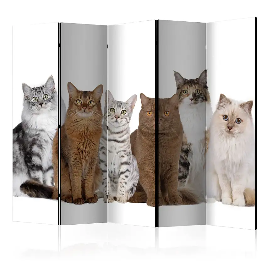 Rumsavdelare Skärmvägg ArkiioSweet Cats II 225x172 cm