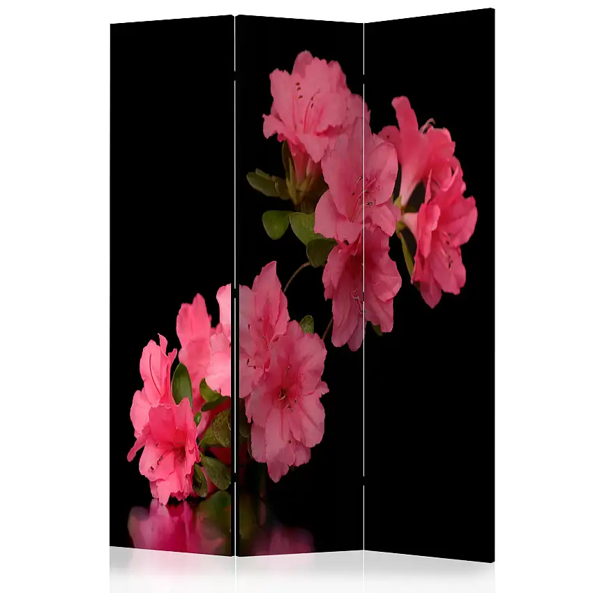 Rumsavdelare Skärmvägg ArkiioAzalea In Black 135x172 cm