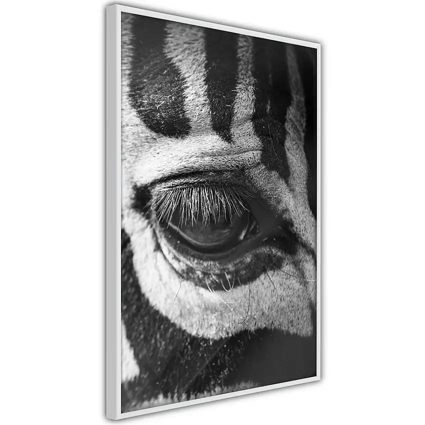 Poster ArtgeistAffisch Zebra Eye
