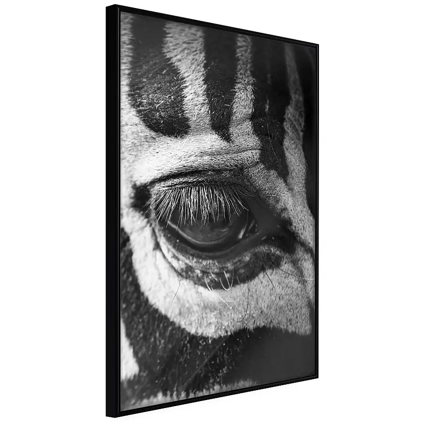 Poster ArtgeistAffisch Zebra EyeSvart ram, 40x60 cm