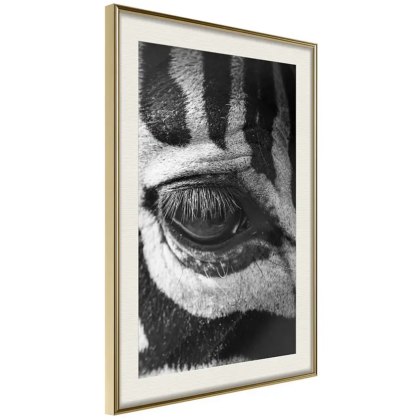 Poster ArtgeistAffisch Zebra EyeGuld ram med passepartout, 40x60 cm