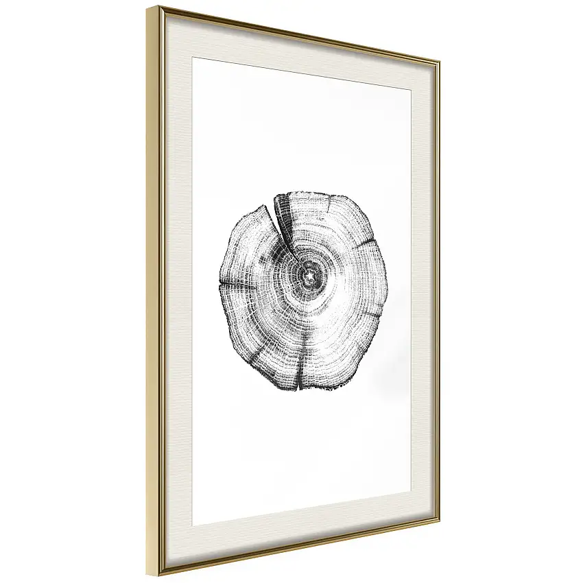 Poster ArtgeistAffisch Wood SliceGuld ram med passepartout, 20x30 cm