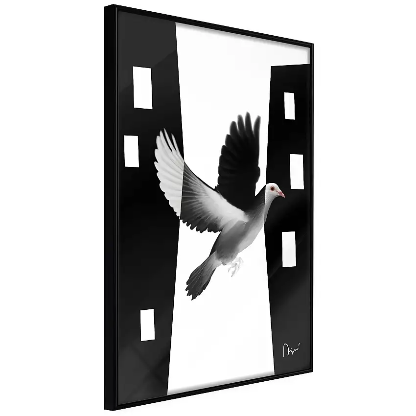 Poster ArtgeistAffisch White DoveSvart ram, 40x60 cm