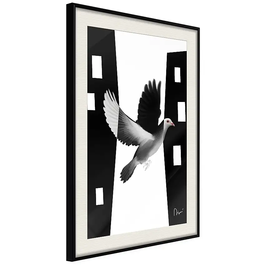 Poster ArtgeistAffisch White DoveSvart ram med passepartout, 20x30 cm