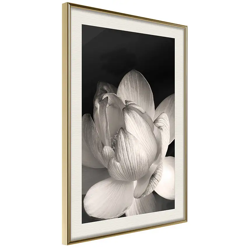 Poster ArtgeistAffisch White SubtletyGuld ram med passepartout, 40x60 cm