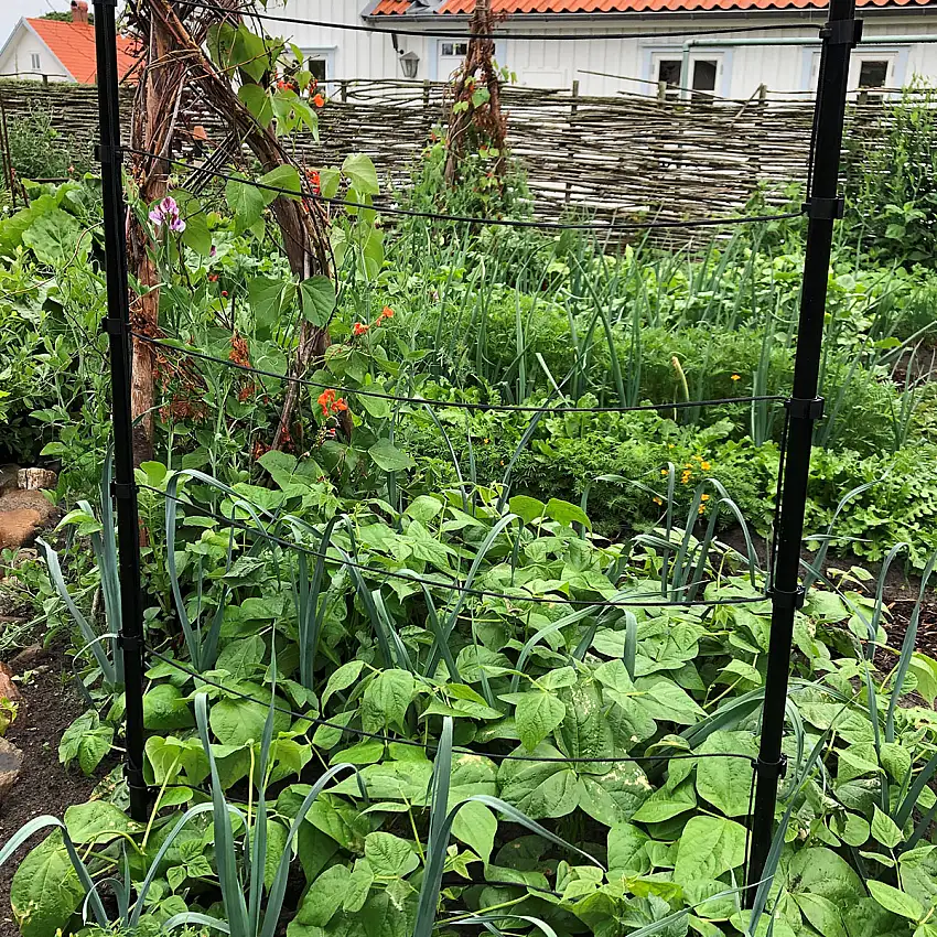 TrådSpaljé Flexigarden