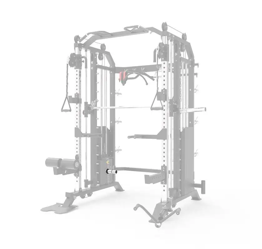 Viktpeg Master FitnessX19